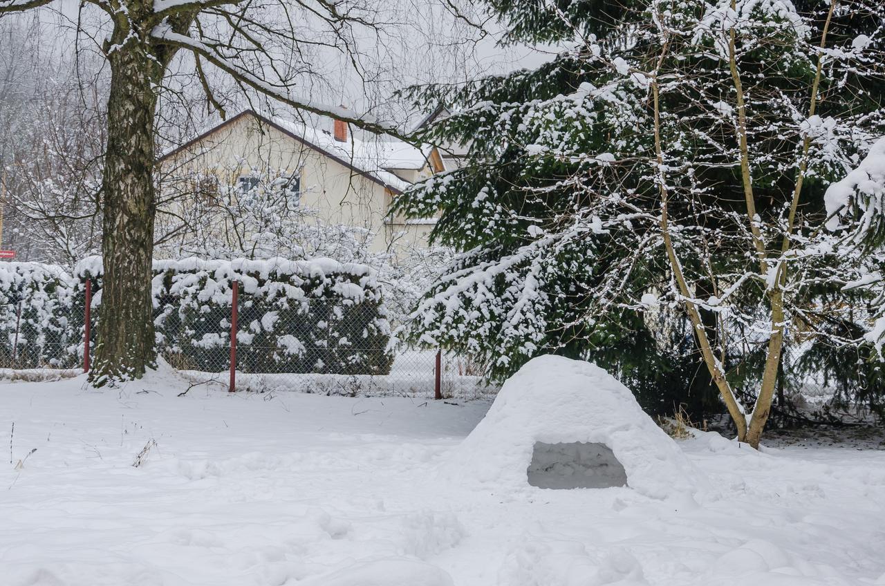 Penzion SPORTINO Svoboda nad Úpou Esterno foto